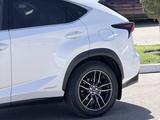 Lexus NX 300h 2014 годаүшін15 500 000 тг. в Тараз – фото 5
