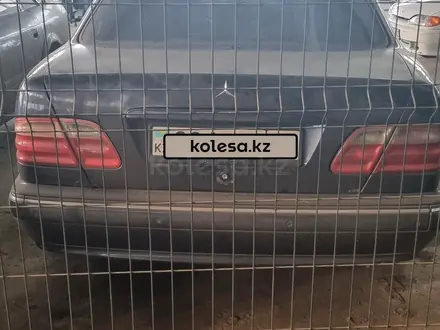 Mercedes-Benz E 240 1999 года за 3 800 000 тг. в Кокшетау – фото 3