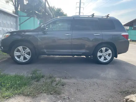 Toyota Highlander 2008 года за 9 800 000 тг. в Алматы – фото 6