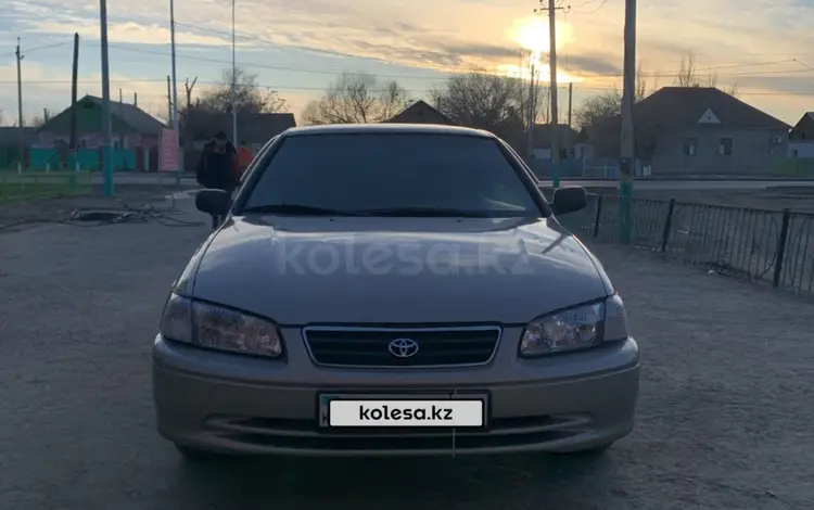 Toyota Camry 2000 года за 3 600 000 тг. в Шиели