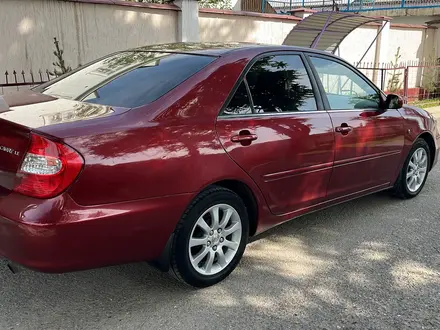 Toyota Camry 2004 года за 5 000 000 тг. в Жетысай – фото 8