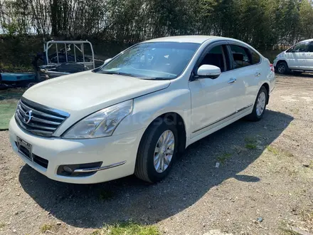 Nissan Teana 2008 года за 10 000 тг. в Алматы