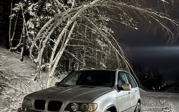 BMW X5 2001 годаүшін5 700 000 тг. в Усть-Каменогорск