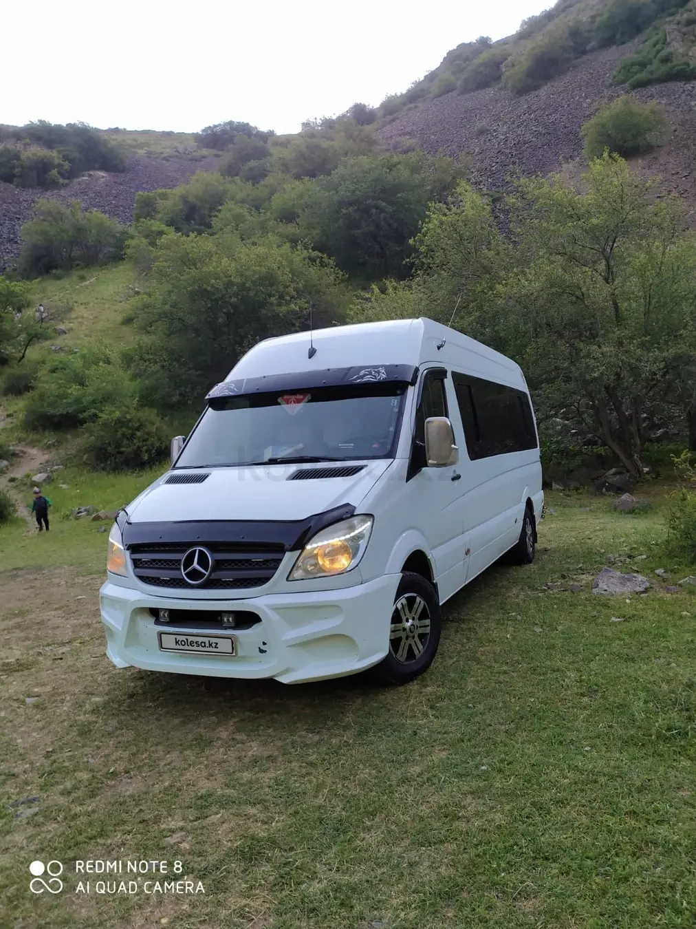 Sprinter 2010