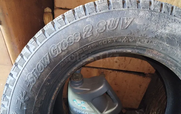 Зимние шины за 85 000 тг. в Петропавловск