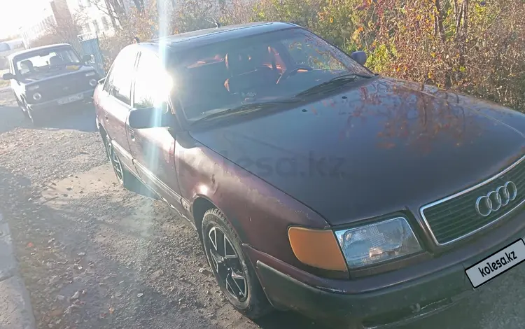 Audi 100 1994 года за 2 000 000 тг. в Тимирязево