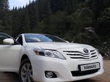 Toyota Camry 2010 годаүшін7 700 000 тг. в Семей – фото 3