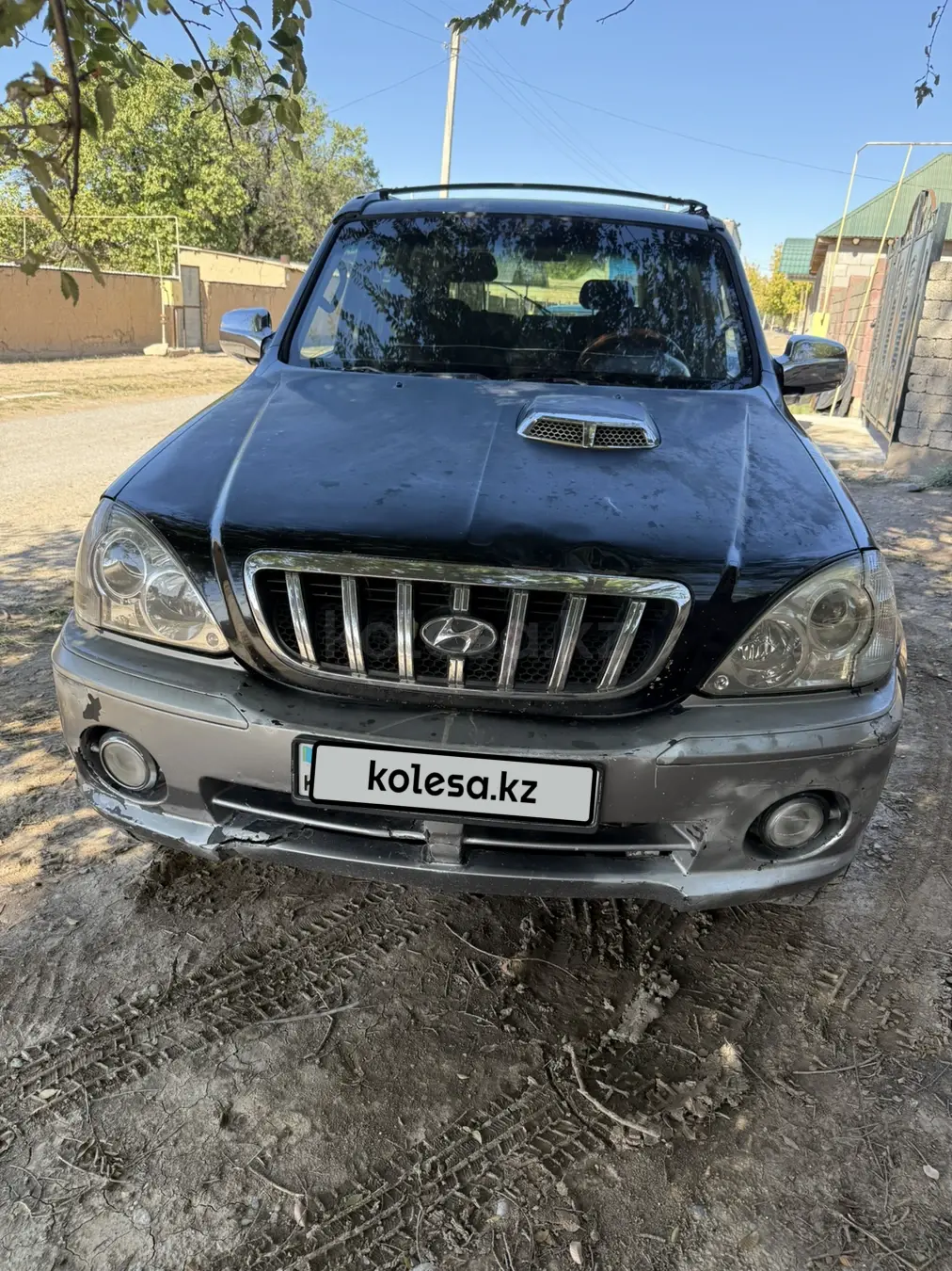 Hyundai Terracan, 2001