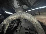 Volkswagen Polo 2014 годаүшін2 000 000 тг. в Астана – фото 4