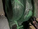 Комплект на шипах Nexen WINGUARD Winspike 3 215/55 R17 98T за 160 000 тг. в Караганда – фото 5