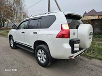 Toyota Land Cruiser Prado 2011 годаүшін15 500 000 тг. в Петропавловск