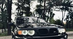 BMW X5 2002 годаүшін5 600 000 тг. в Алматы – фото 2
