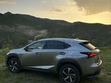 Lexus NX 300 2018 года за 15 300 000 тг. в Петропавловск – фото 2