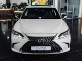 Lexus ES 250 2023 года за 28 180 000 тг. в Петропавловск