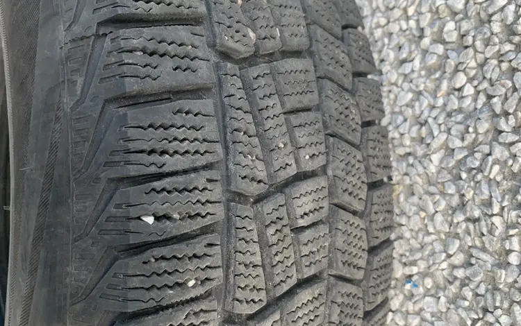 Шина за 80 000 тг. в Талдыкорган