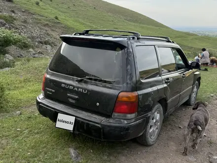Subaru Forester 1999 года за 1 900 000 тг. в Алматы – фото 3