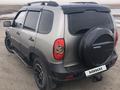 Chevrolet Niva 2014 годаүшін3 700 000 тг. в Тайынша – фото 3