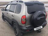 Chevrolet Niva 2014 годаүшін4 000 000 тг. в Тайынша – фото 3