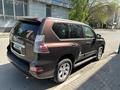 Lexus GX 460 2014 годаfor22 000 000 тг. в Семей – фото 2