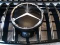 Mercedes-benz.X166 GL. Решётка радиатора GT.үшін150 000 тг. в Алматы – фото 5