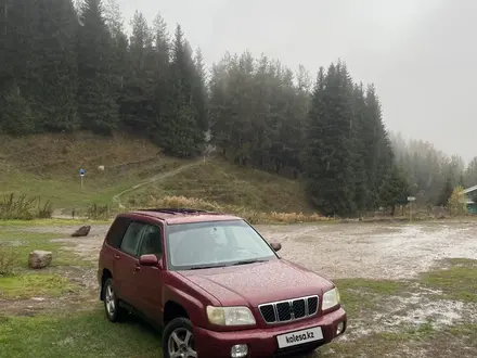 Subaru Forester 2001 года за 2 600 000 тг. в Алматы – фото 14