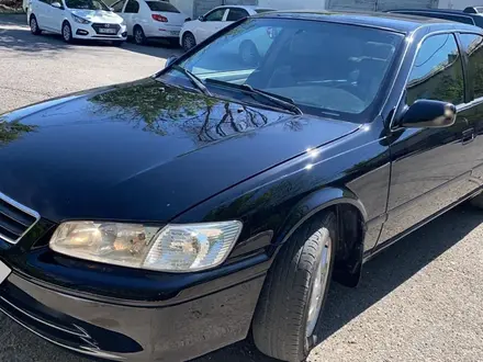 Toyota Camry 1999 года за 3 700 000 тг. в Алматы