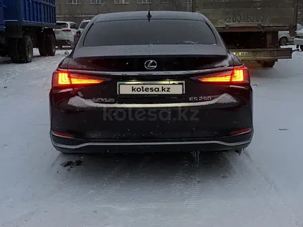 Lexus ES 250 2019 года за 20 000 000 тг. в Кокшетау – фото 6