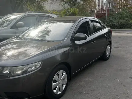 Kia Cerato 2012 года за 4 700 000 тг. в Алматы – фото 3