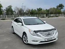 Hyundai Sonata, 2010