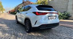 Lexus NX 250 2022 года за 26 500 000 тг. в Алматы – фото 4