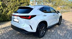 Lexus NX 250 2022 года за 26 500 000 тг. в Алматы – фото 5