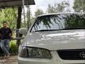 Toyota Camry 1998 года за 3 200 000 тг. в Шымкент