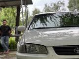 Toyota Camry 1998 года за 3 200 000 тг. в Шымкент
