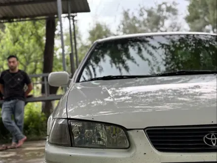 Toyota Camry 1998 года за 3 200 000 тг. в Шымкент