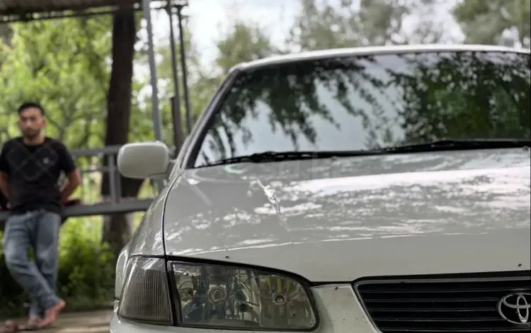 Toyota Camry 1998 года за 3 200 000 тг. в Шымкент