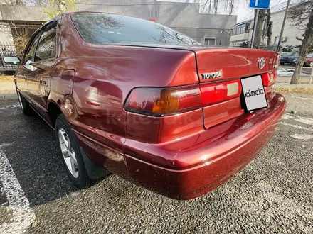 Toyota Camry 1998 года за 3 100 000 тг. в Талдыкорган – фото 6