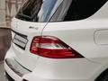 Mercedes-Benz ML 63 AMG 2013 годаүшін24 500 000 тг. в Караганда – фото 15