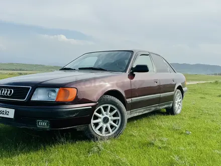 Audi 100 1991 годаүшін2 400 000 тг. в Ушарал – фото 15