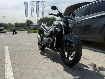 Suzuki  GW 250 (GSR 250) 2016 года за 1 800 000 тг. в Алматы – фото 6