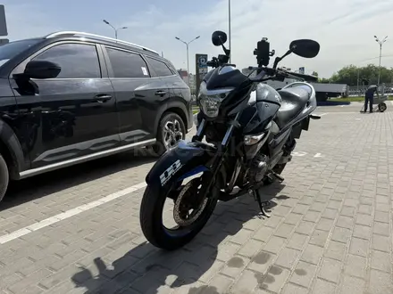 Suzuki  GW 250 (GSR 250) 2016 года за 1 800 000 тг. в Алматы – фото 7