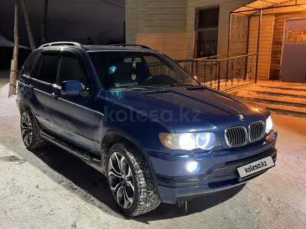 BMW X5 2003 года за 5 000 000 тг. в Караганда – фото 2