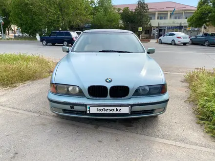 BMW 525 1996 годаүшін2 500 000 тг. в Шымкент – фото 2