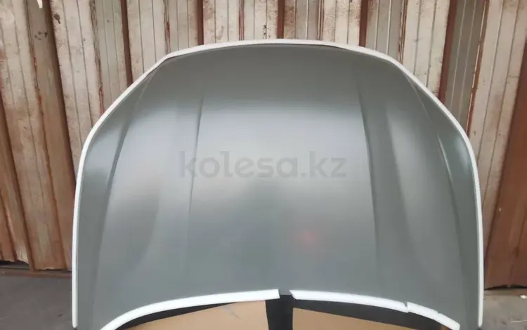 Капот BYDүшін1 000 тг. в Алматы