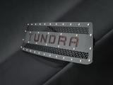 Решетка радиатора BMS TUNDRA RED для Toyota Tundra 2013-2020 за 117 660 тг. в Алматы