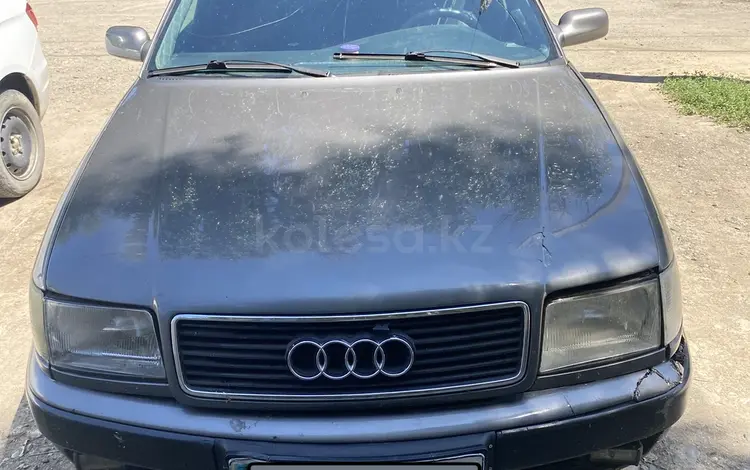 Audi 100 1991 годаүшін1 000 000 тг. в Жаркент