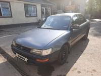 Toyota Corolla 1995 годаүшін1 150 000 тг. в Алматы