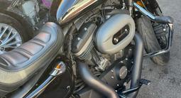 Harley-Davidson  Sportster 1200 2020 года за 7 900 000 тг. в Шымкент – фото 2