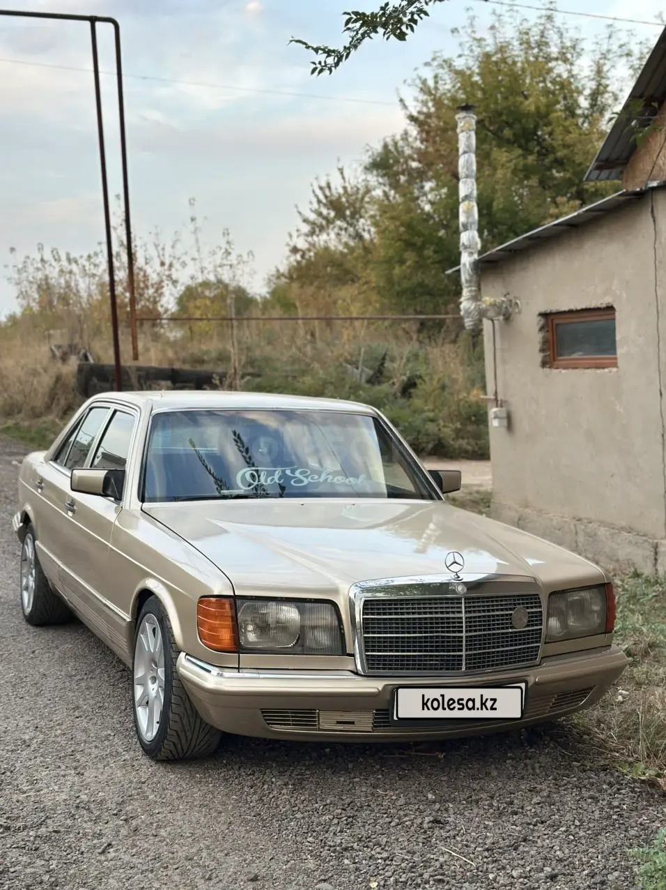Mercedes-Benz S-Class, 1981