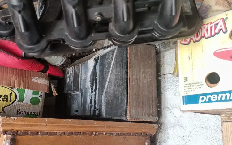 Коллектор за 50 000 тг. в Алматы