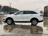 Kia Sorento 2017 года за 10 700 000 тг. в Шымкент